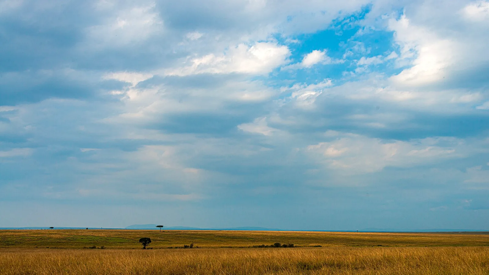 Open savanna and cloud-filled sky in the Maasai Mara, Kenya